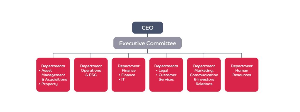 Schema Organisation Entreprise New V5